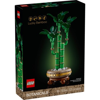 Lucky Bamboo - 10344