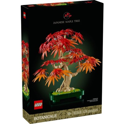 Japanese Red Maple Bonsai Tree - 10348