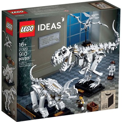 Dinosaur Fossils - 21320