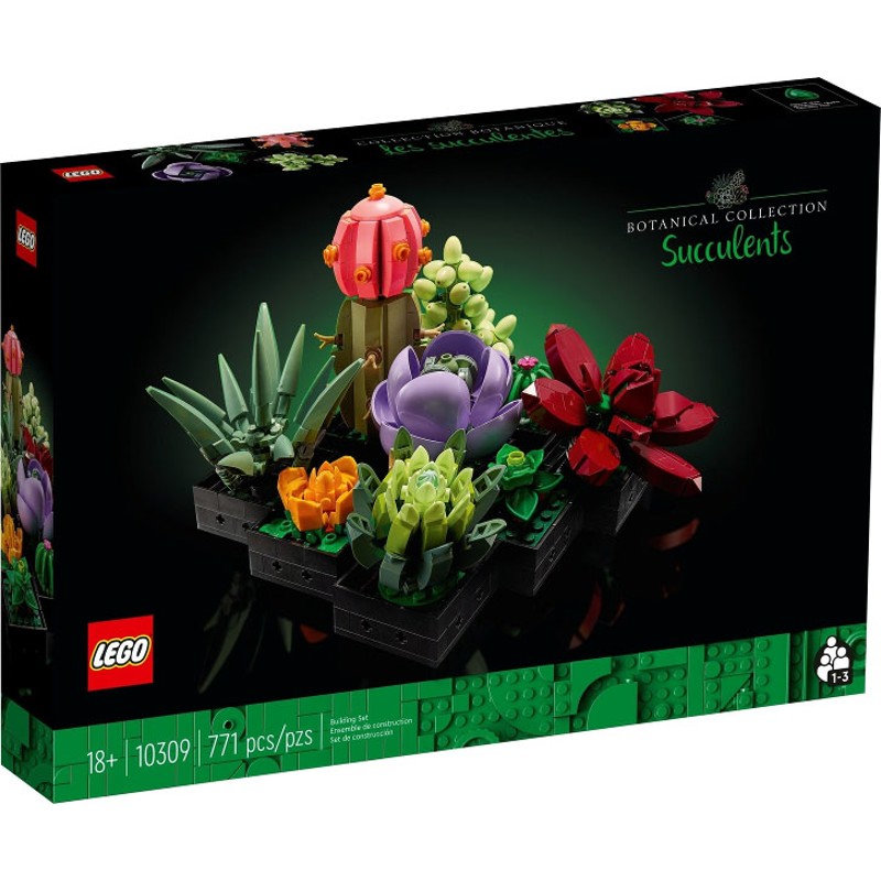 Succulents - 10309