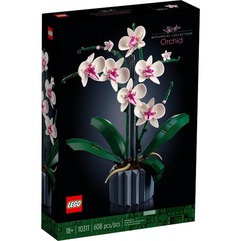 Orchid - 10311