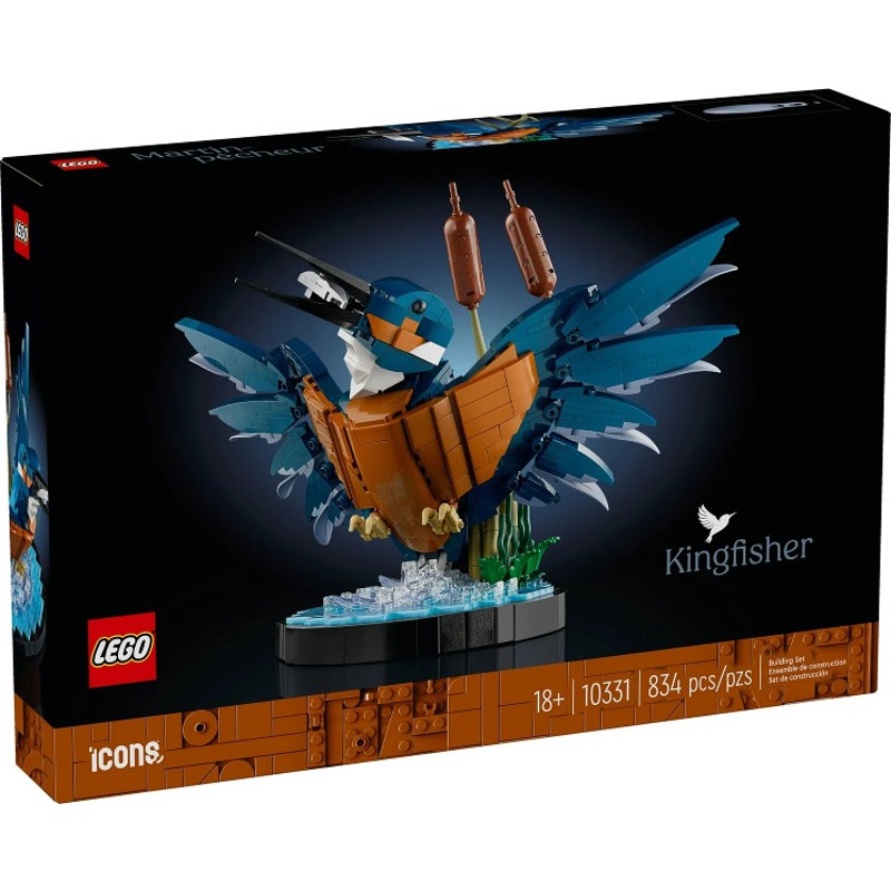 Kingfisher Bird - 10331