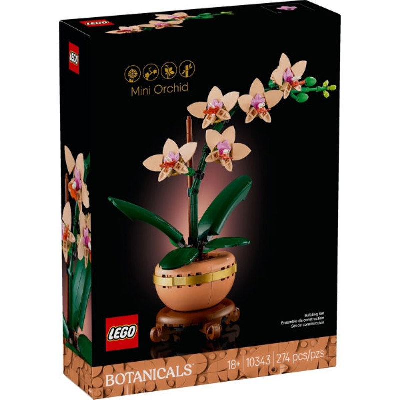 Mini Orchid - 10343