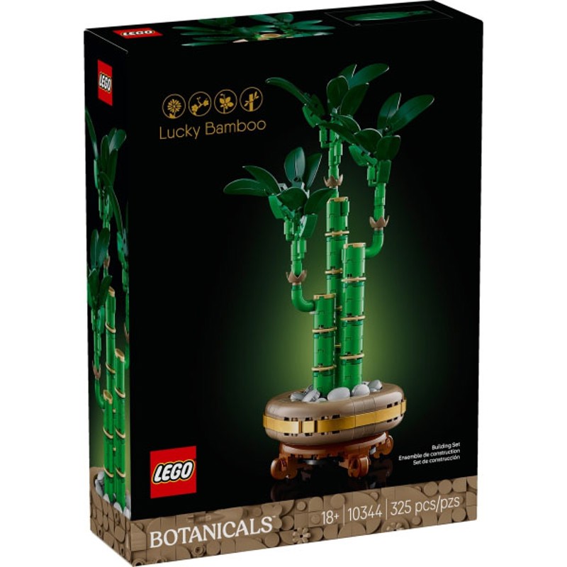 Lucky Bamboo - 10344