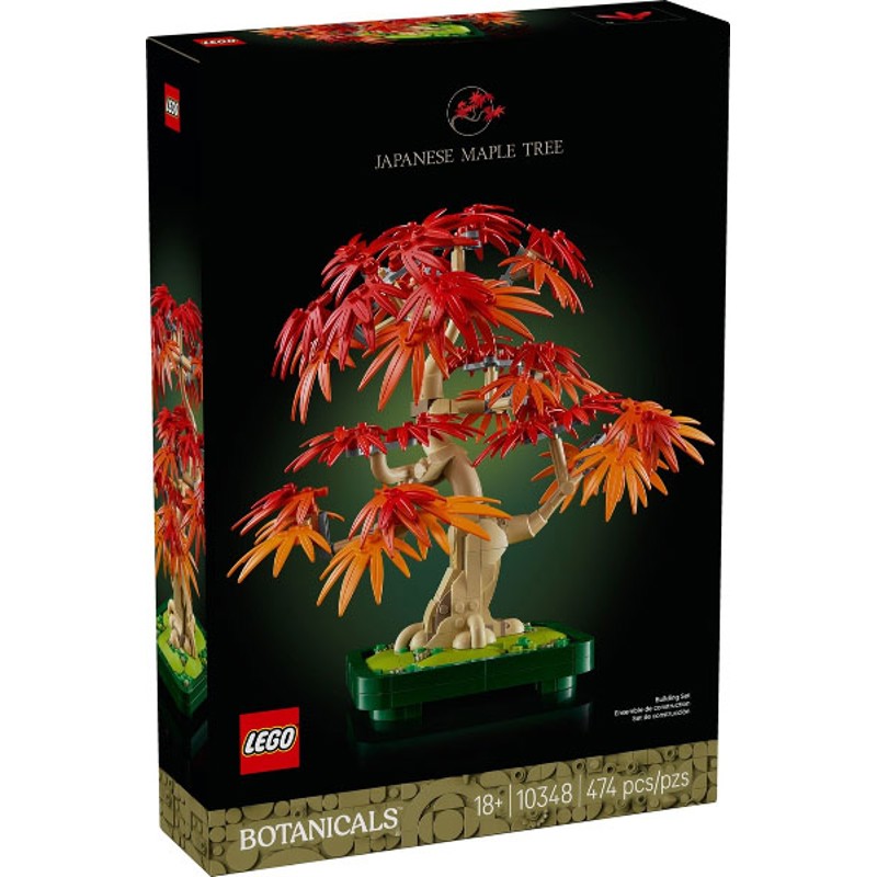 Japanese Red Maple Bonsai Tree - 10348