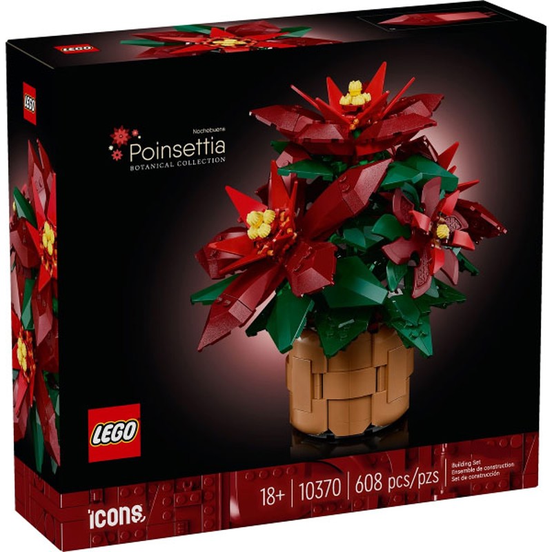 Poinsettia - 10370