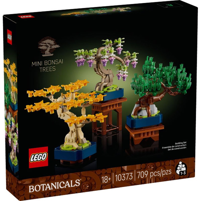 Mini Bonsai Trees - 10373