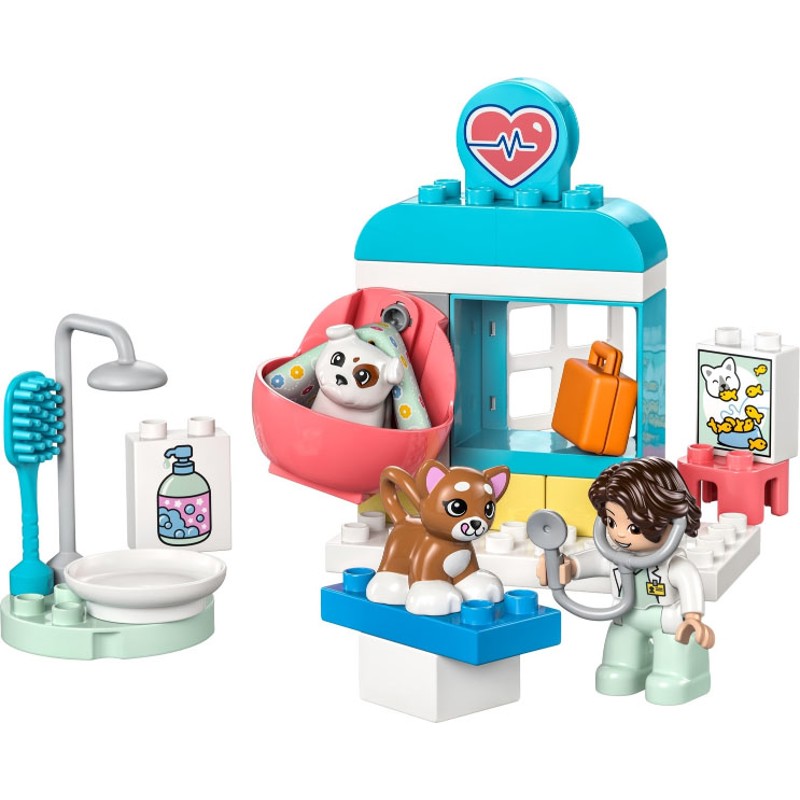Visit to the Vet Clinic - 10438