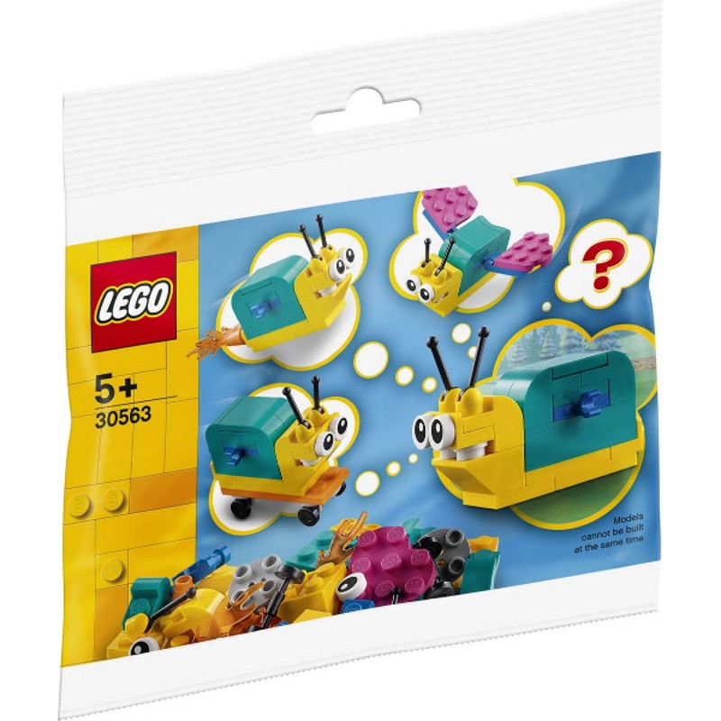 Build your own Snail - 30563