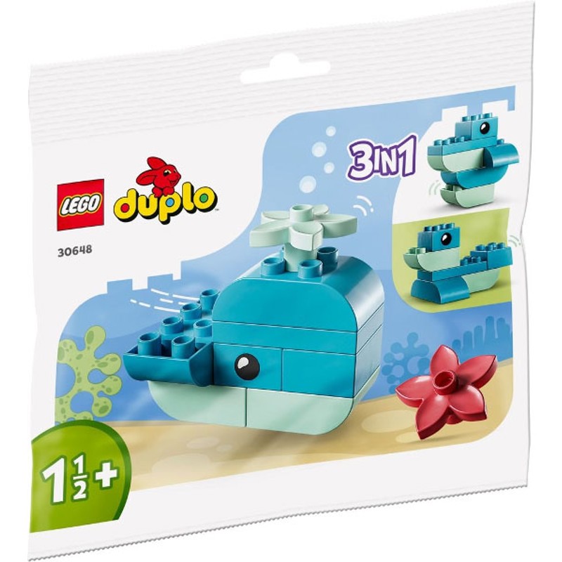 Whale - 30648