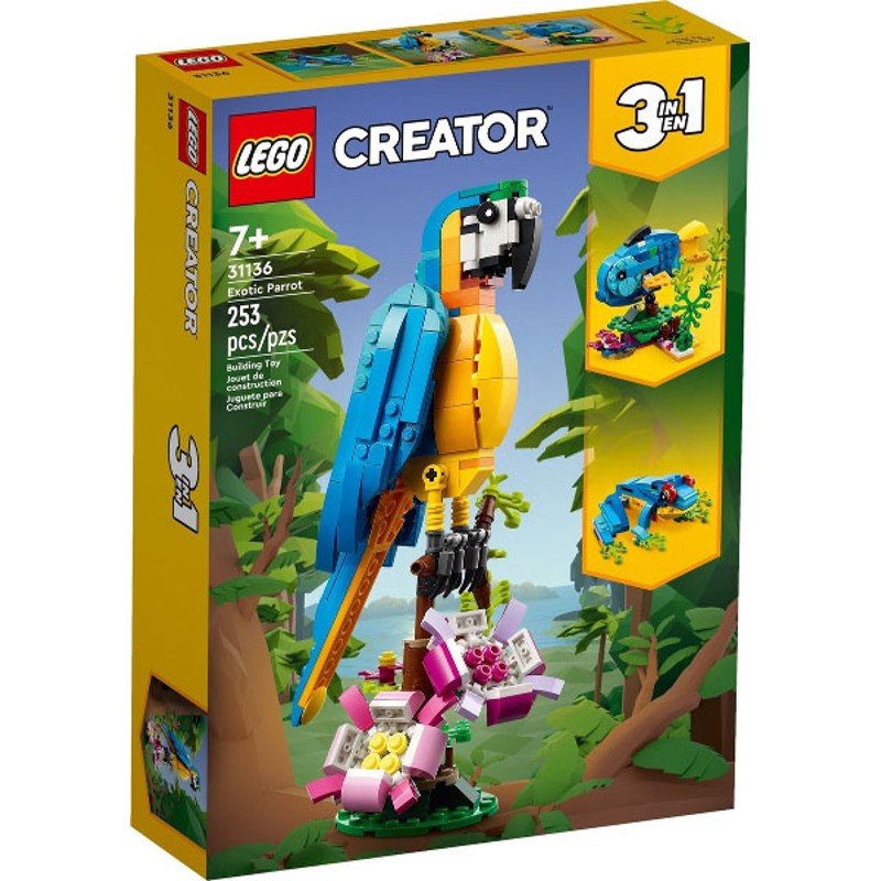 Exotic Parrot - 31136