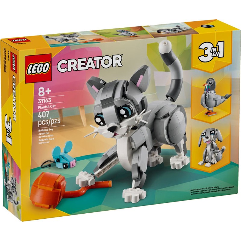 Playful Cat - 31163