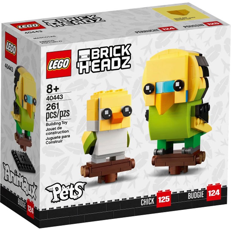 Budgie - 40443