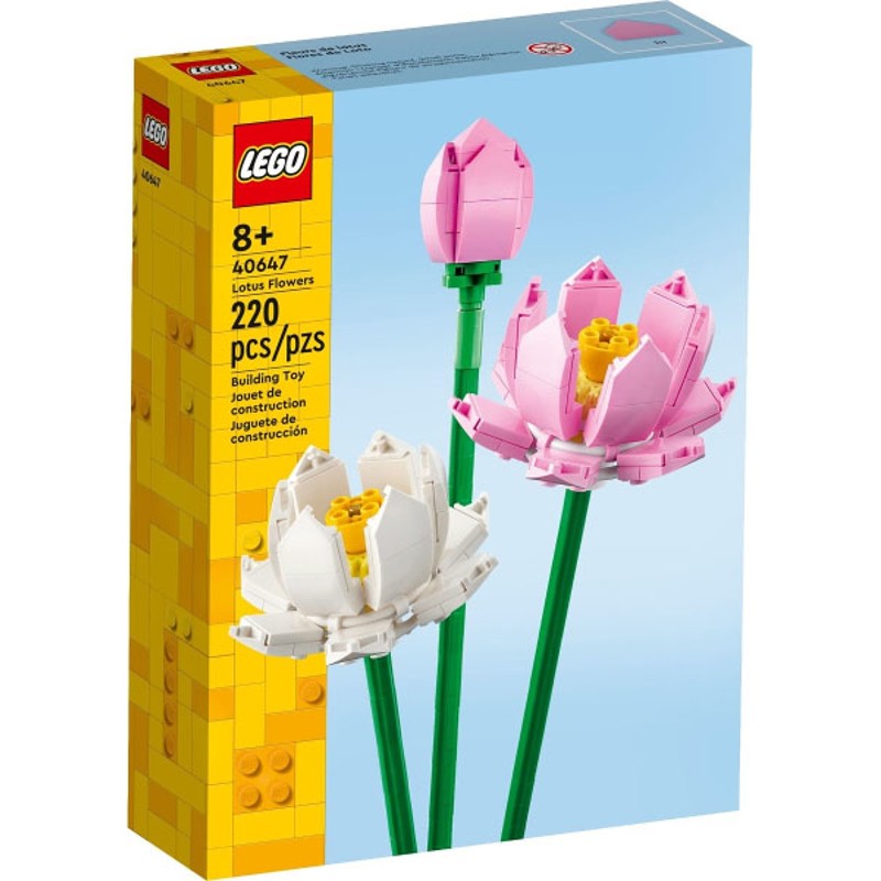 Lotus Flowers - 40647