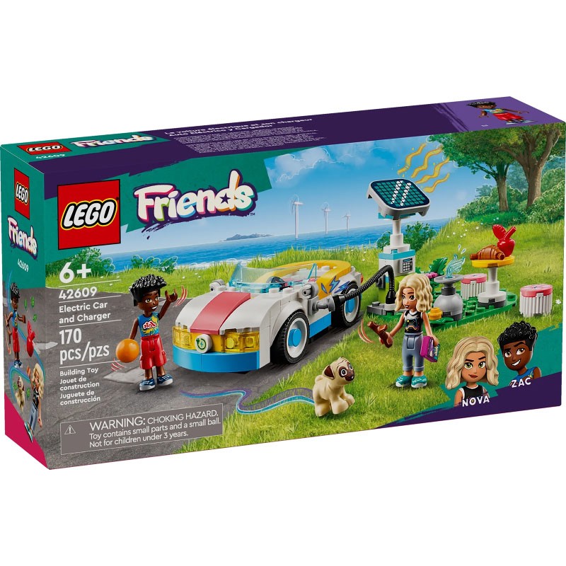 Electric Car and Charger - 42609