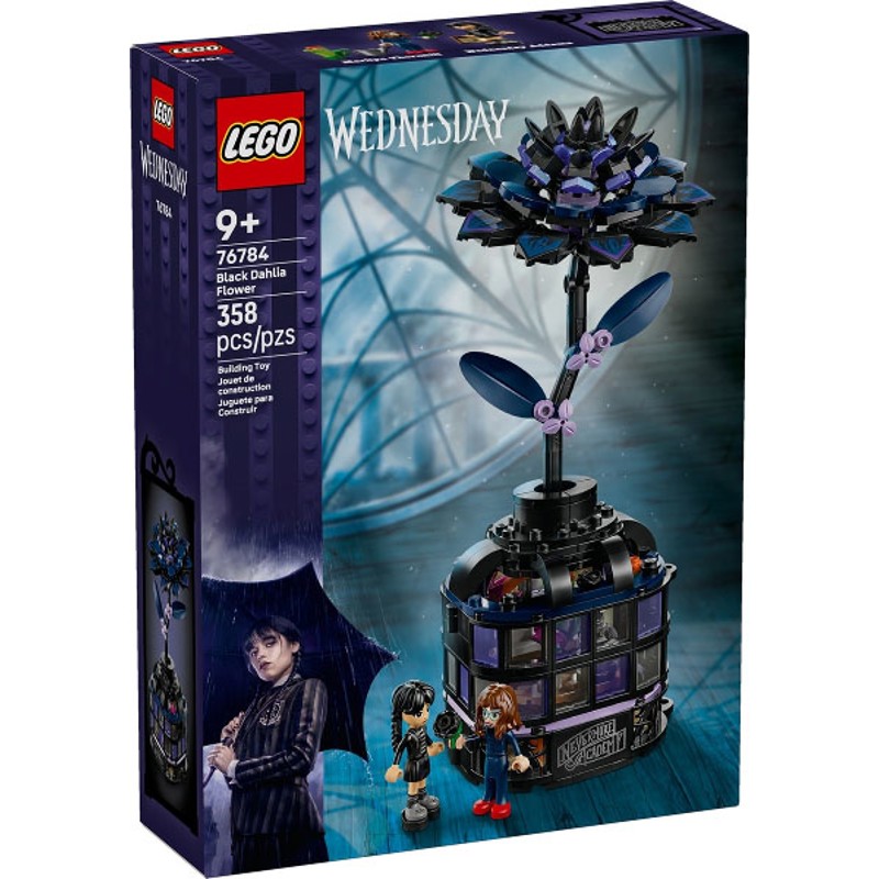Black Dahlia Flower - 76784